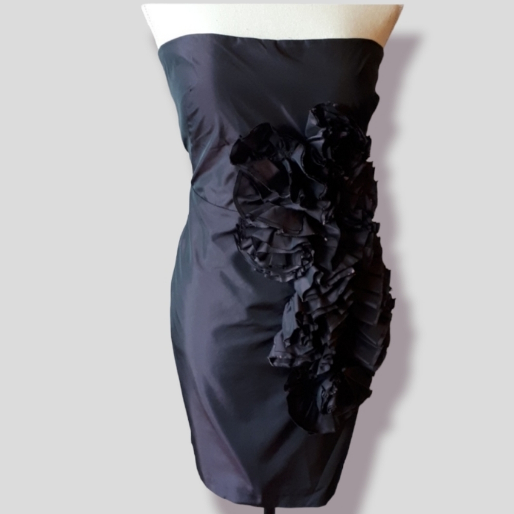 Robert Rodriguez plum colored strapless dress